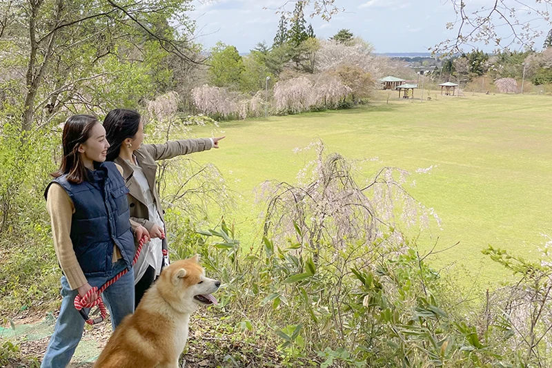 秋田犬と散歩_ヤッホーポイント