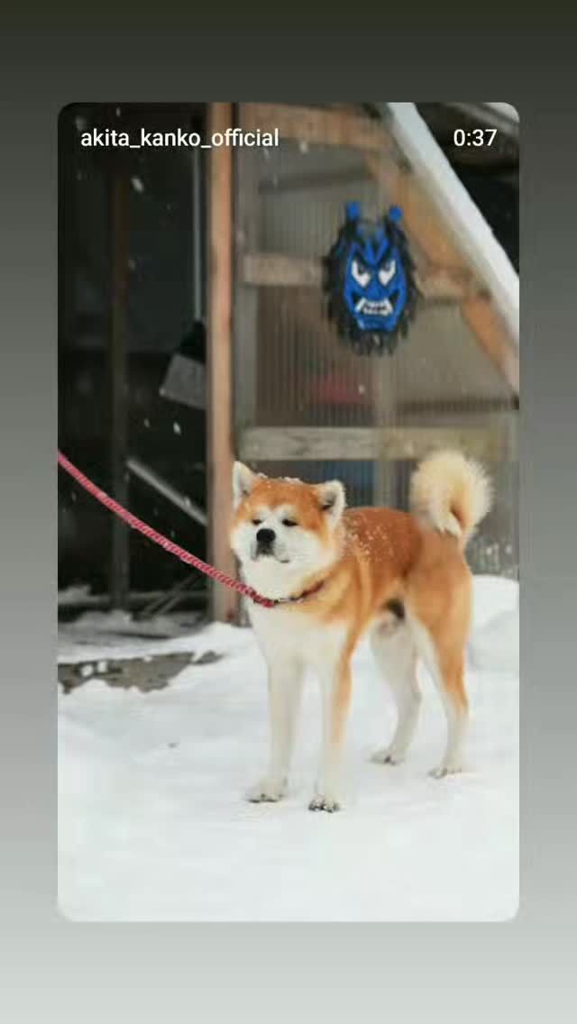 ヘルスケアデザイン秋田 | 秋田県三種町を歩こう！美しい四季と人気の