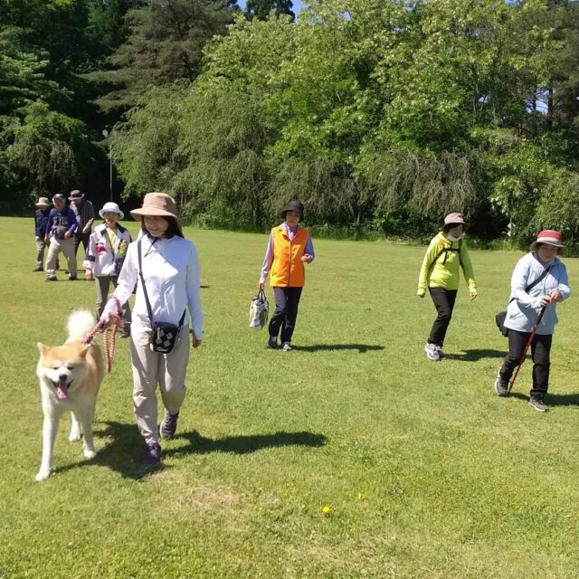 ヘルスケアデザイン秋田 | 秋田県三種町を歩こう！美しい四季と人気の